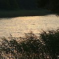 spacerkowe