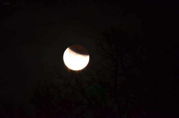 zaćmienie księżyca z 10 grudnia 2011r. #księżyc #zaćmienie