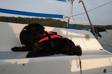 #Mazury #rejs #sznaucer #wakacje #żagle