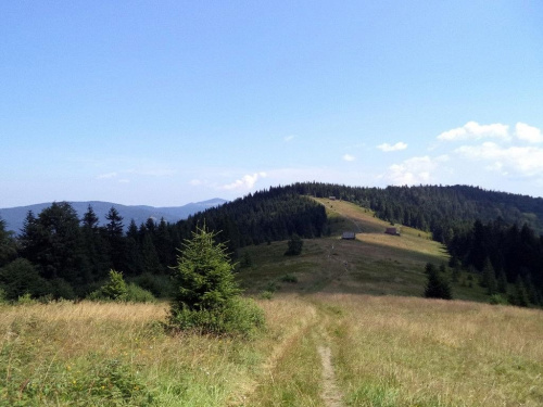 Polana Podskały i Jaworzynka #góry #beskidy #gorce #podskały #adamówka #GorcTroszacki