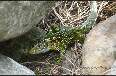 #MassinoVisconti #SanSalvador #Sanktuarium #Włochy