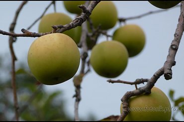 #MassinoVisconti #SanSalvador #Sanktuarium #Włochy