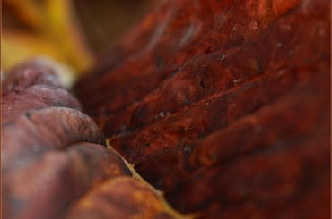 II - w temacie jesieni :) #liść #kasztanowiec #jesień