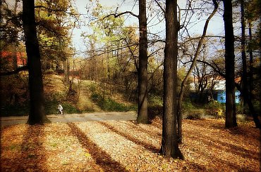 Świdnica, ulica Saperów - widok z Parku Wrocławskiego #DolnyŚląsk #Świdnica #jesień #park #ParkWrocławskiWŚwidnicy