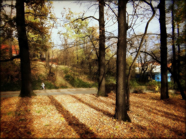 Świdnica, ulica Saperów - widok z Parku Wrocławskiego #DolnyŚląsk #Świdnica #jesień #park #ParkWrocławskiWŚwidnicy