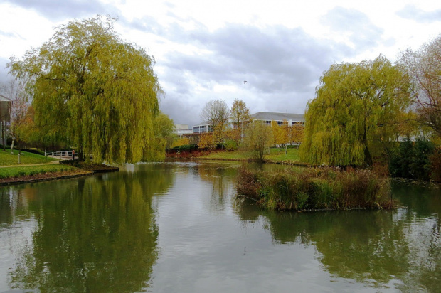 Stockley Park - Hayes