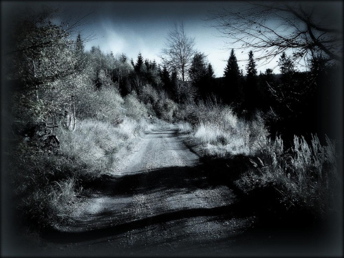 Srebrna Droga (szlak fioletowy) z Przełęczy Walimskiej na Przełęcz Sokolą #DolnyŚląsk #GórySowie #jesień #las #PrzełęczSokola #PrzełęczWalimska #SrebrnaDroga #Sudety #SzlakFioletowy #WielkaSowa