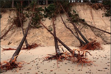 Och Ksawery ! #Dźwirzyno #HuraganKsawery #plaża