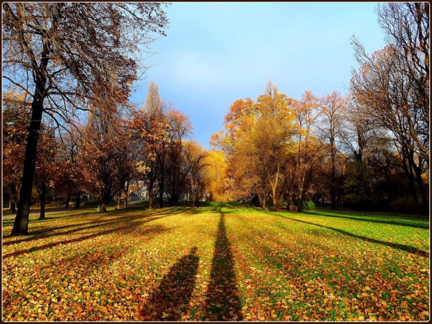 Park Centralny w Świdnicy #DolnyŚląsk #Świdnica #Schweidnitz #jesień #park #ParkCentralnyWŚwidnicy