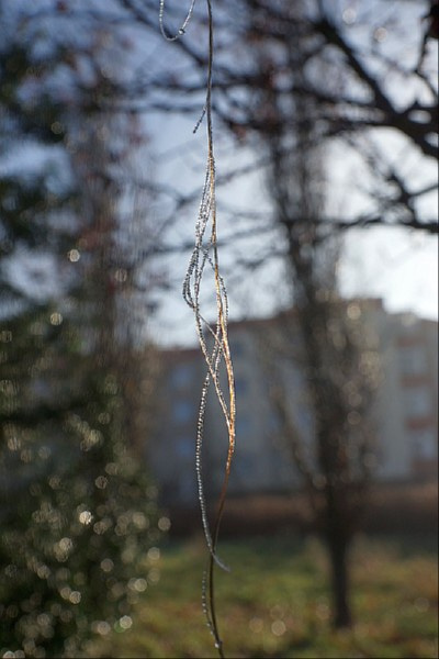Kielce