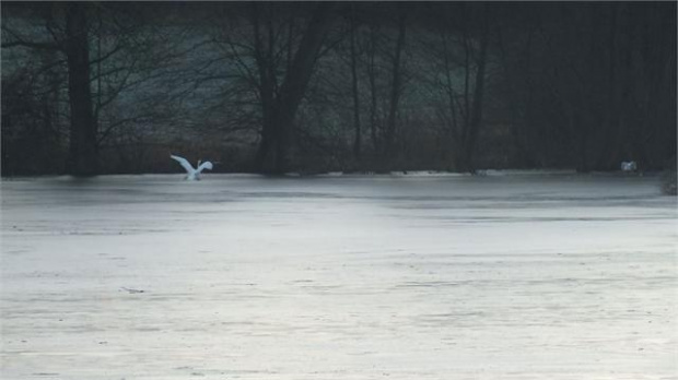 06.01.2014