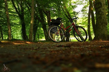 Rowerowo ... #koło #kwiaty #łąka #opona #rower