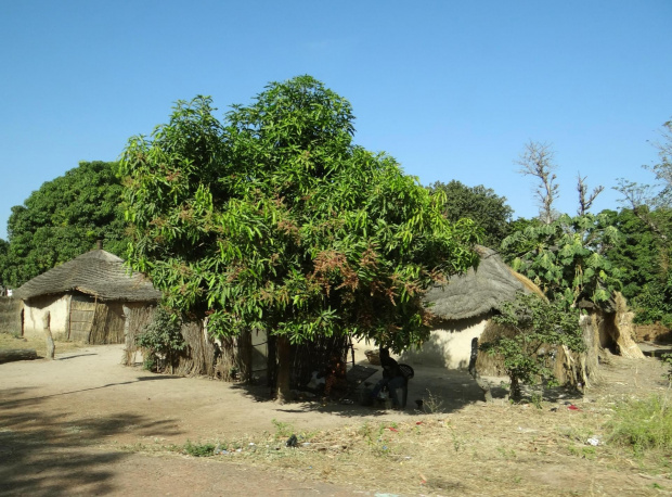 Gambia