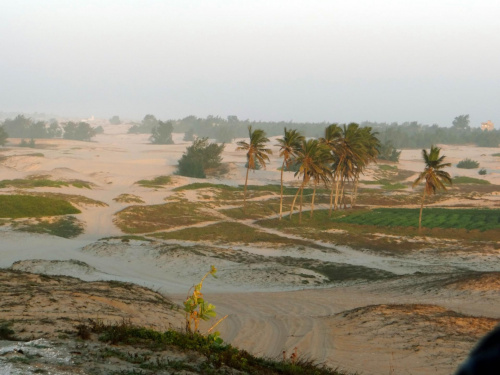 Senegal