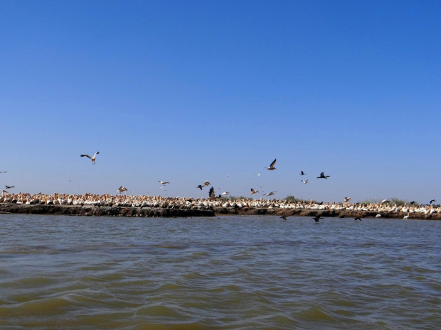 Senegal