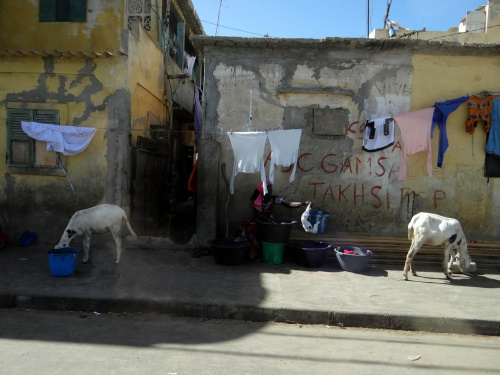 Senegal