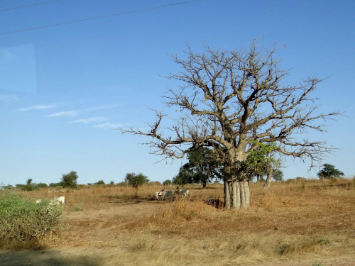 Senegal