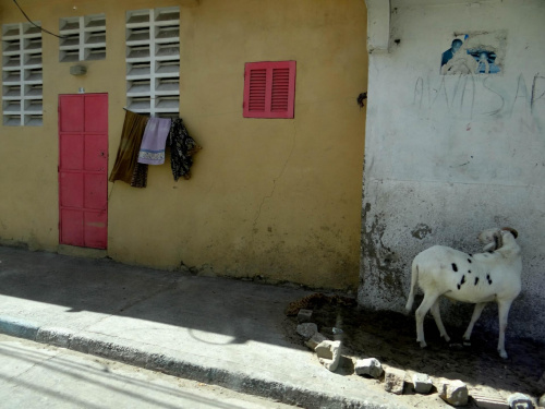 Senegal