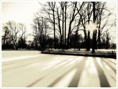 Park Centralny w Świdnicy. Mały Staw #DolnyŚląsk #ParkCentralnyWŚwidnicy #Schweidnitz #Świdnica #zima #park