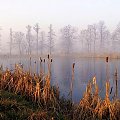 Lutowy niedzielny poranek nad staswem..