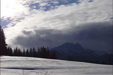 #góry #podróże #sznaucer #Zakopane #zima