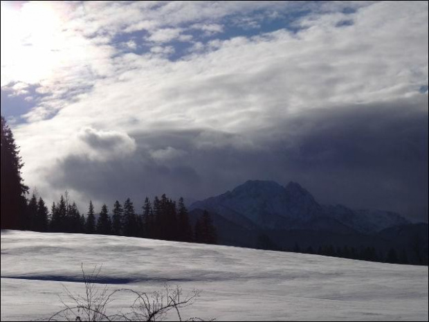 #góry #podróże #sznaucer #Zakopane #zima