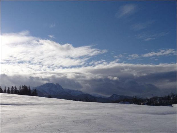 #góry #podróże #sznaucer #Zakopane #zima