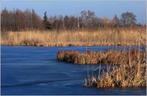 Ekopark Natura 2000 - ze spacerku po grobli #EkoparkNatura2000 #grobla #Kołobrzeg