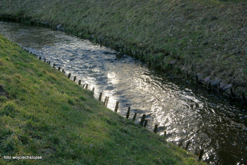 Park Połczyn Zdrój