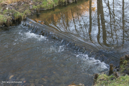 Park Połczyn Zdrój