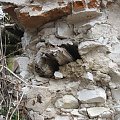 Ruiny zamku w Szczebrzeszynie, resztki drewnianej belki z prawej strony #Szczebrzeszyn #zamek