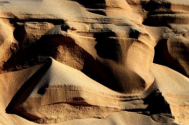 Wiatr na wydmach ... #plaża #wiatr #wydmy