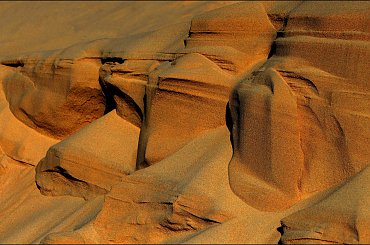 Wiatr na wydmach ... #plaża #wiatr #wydmy