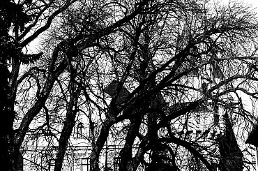 Pałac, Moszna, konie, inne, #inne #konie #Moszna