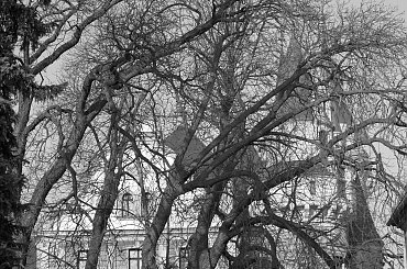 Pałac, Moszna, konie, inne, #inne #konie #Moszna