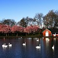 Richmond Park..