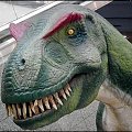 Z wystawy dinozaurów w Galerii Krakowskiej...na zdjęciu tyranozaur...chyba najsympatyczniejszy z dinozaurów...łagodny...dobroduszny...zawsze przyjaźnie nastawiony...