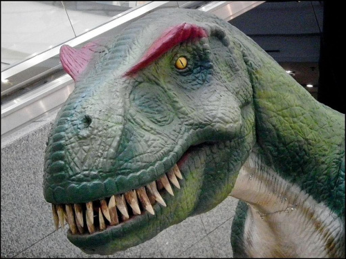 Z wystawy dinozaurów w Galerii Krakowskiej...na zdjęciu tyranozaur...chyba najsympatyczniejszy z dinozaurów...łagodny...dobroduszny...zawsze przyjaźnie nastawiony...