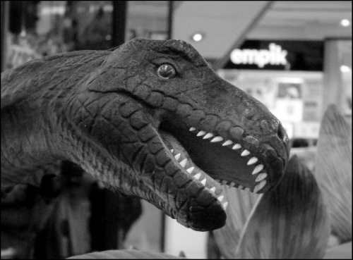 Z wystawy dinozaurów w Galerii Krakowskiej...wbrew pozorom,to niegroźny roślinożerny dinozaur...grzecznie i spokojnie skubał sobie listki...