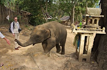 Zabawy z maluchem #azja #słoń #tajlandia