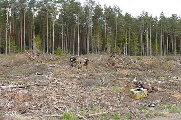 Poszukiwanie Goliata #goliath #rygielpisz