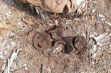 Poszukiwanie Goliata #goliath #rygielpisz