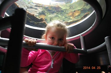 Boulogne - Francja #Berk #Boulogne #francja