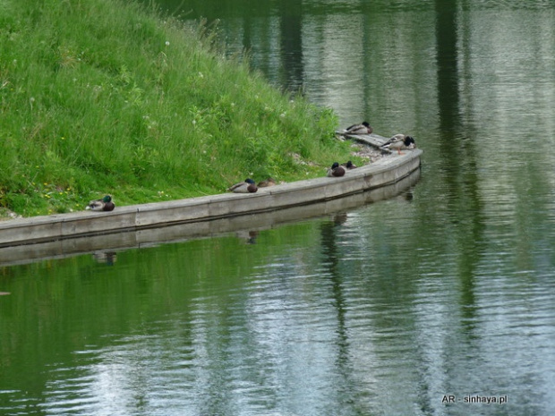 Park Cietrzewia - Warszawa Włochy