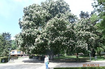 Visit in Dobrich #Comenius #Dobrich #visit