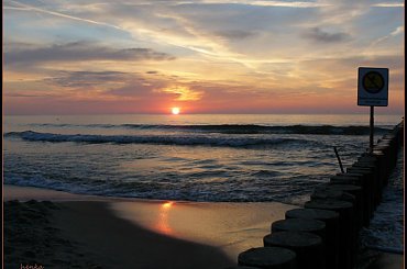 zachód z odbiciem #mewa #piasek #woda