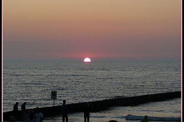 różowy zachód #mewa #piasek #woda