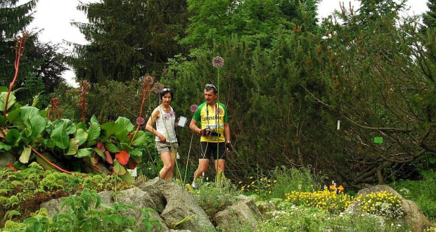 Romantyczne spacery we dwoje.. + fotoreporter