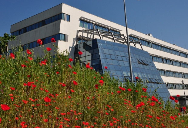 Natura i wpółczesna architektura