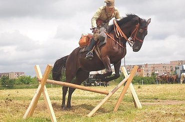 XIV Piknik Kawaleryjski w Suwałkach, 14-15.VI.2014 #kawaleria #konie #koń #PiknikKawaleryjski #Suwałki #ułani